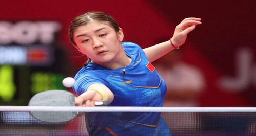 的称号绝非 的称号绝非