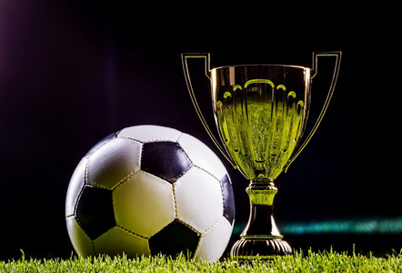 球迷和媒体 球迷和媒体